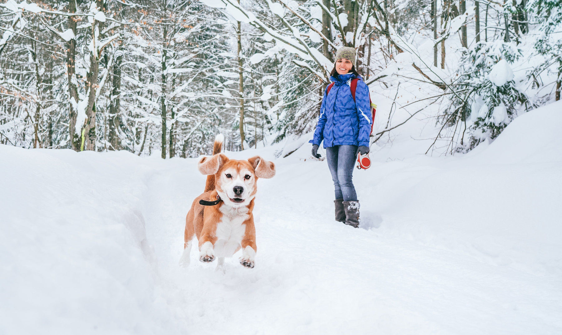 The Safest Winter Boots For Dog Walking On Ice & Snow