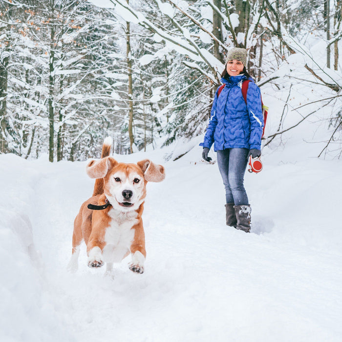 The Safest Winter Boots For Dog Walking On Ice & Snow