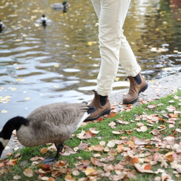 Which Blundstone Is Right for You?