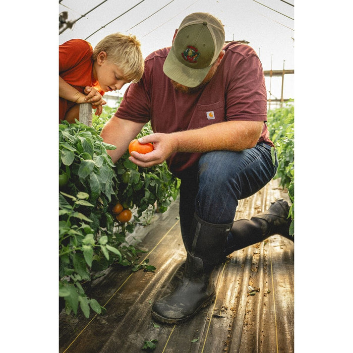 BOGS CLASSIC SEAMLESS TALL MEN'S Boots Bogs 