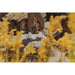KEEN TARGHEE APEX WATERPROOF HIKING SHOE WOMEN'S Sneakers & Athletic Shoes Keen 