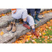 DARN TOUGH WILD LIFE CREW LIGHTWEIGHT LIFESTYLE SOCK WOMEN'S Apparel Darn Tough 