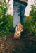 HOKA TRANSPORT 2 GTX WOMEN'S Sneakers & Athletic Shoes HOKA 