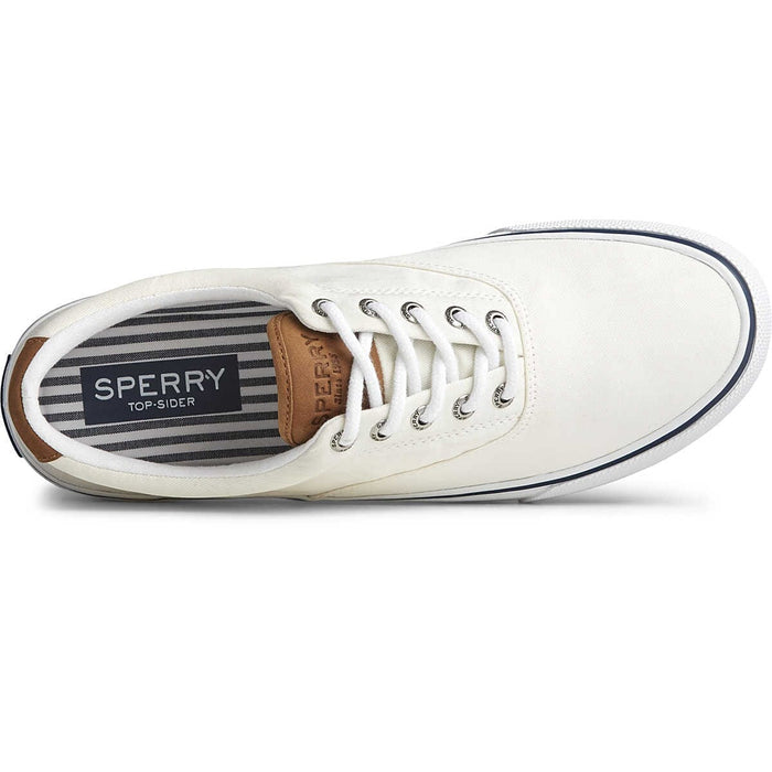 SPERRY STRIPER II CVO SNEAKER MENS Sneakers & Athletic Shoes Sperry 