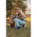 TAOS WINNER HIGH TOP Sneakers & Athletic Shoes Taos 
