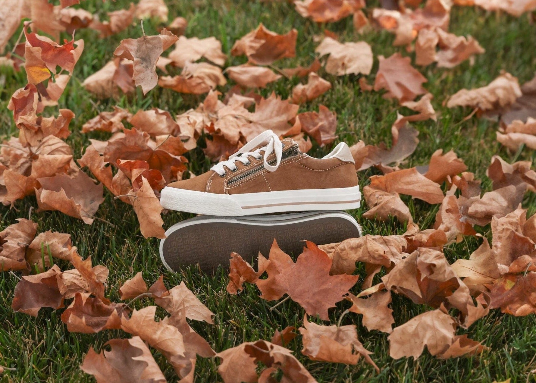 TAOS Z SOUL Sneakers & Athletic Shoes Taos 