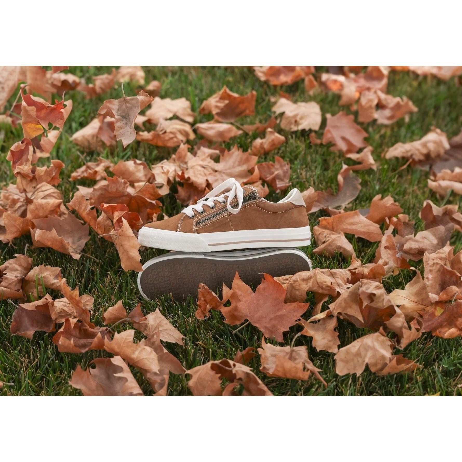 TAOS Z SOUL Sneakers & Athletic Shoes Taos 